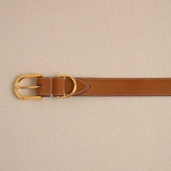 Pet Collar 30 in Vacchetta Luggage