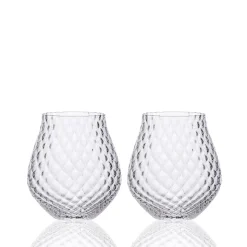 Phoebe Clear Stemless Wine Glasses, Set of 2