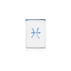 Pisces Lowball Glass