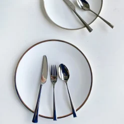 Platinum Edge Plate, Set of 2