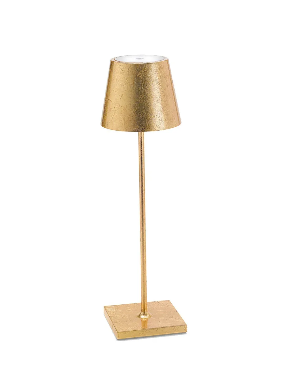 Poldina Pro