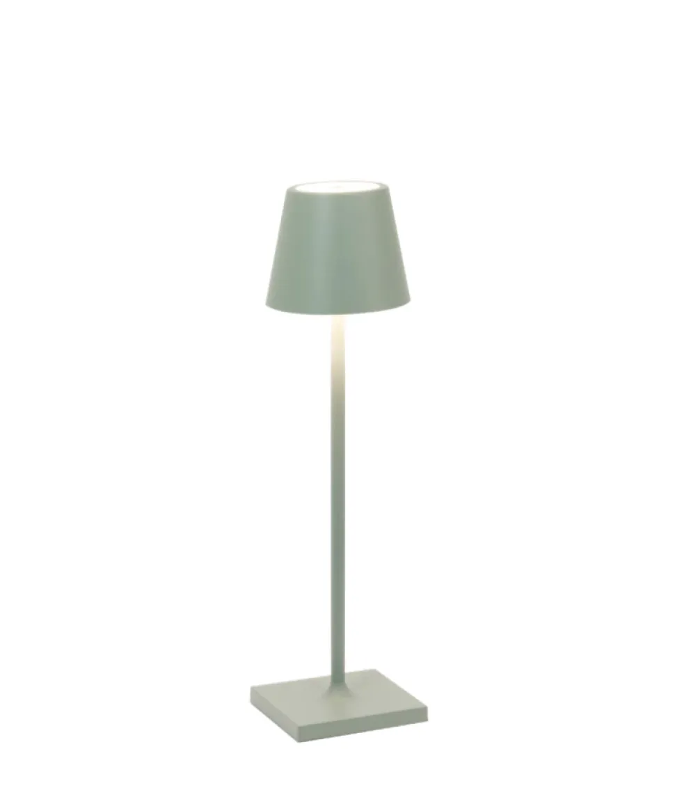 Poldina Pro Micro