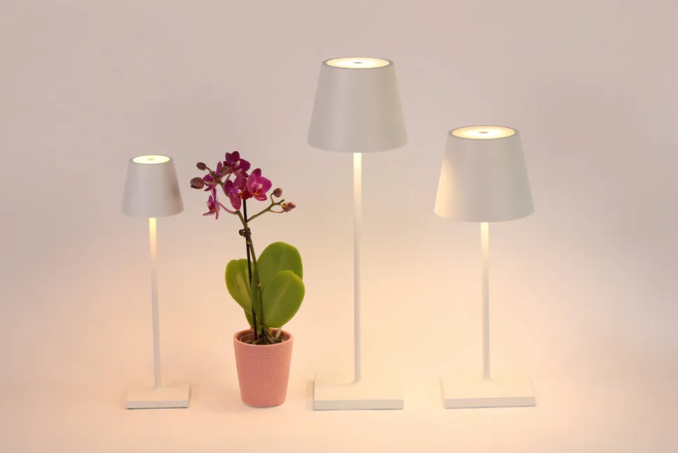 Poldina Pro Micro