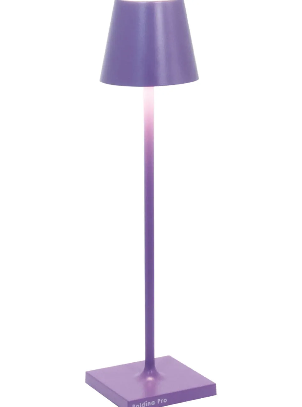 Poldina Pro Micro