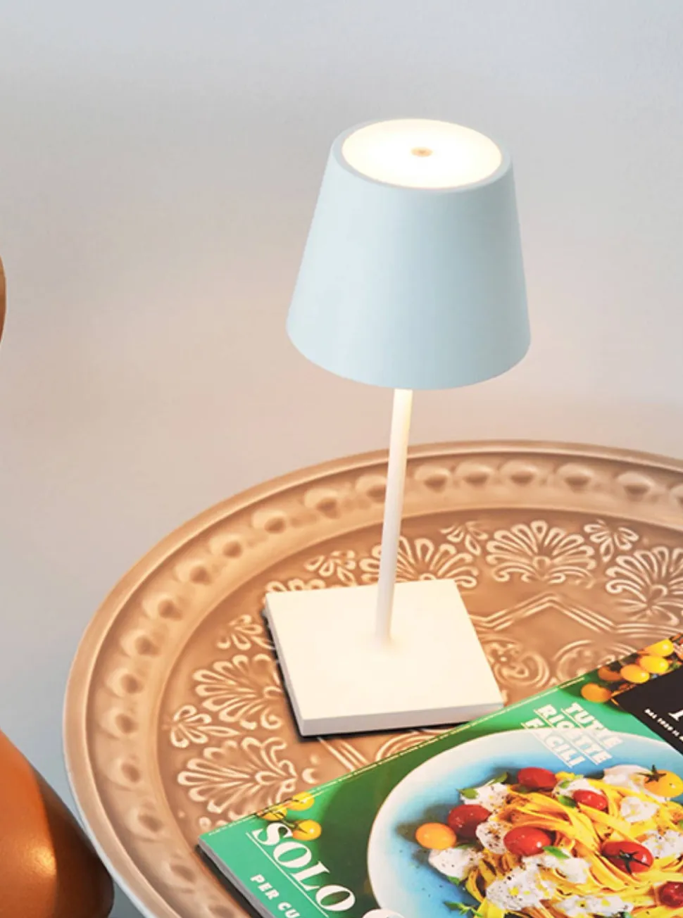 Poldina Pro Mini