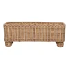 Provence Rattan Rectangular Planter in Whitewash