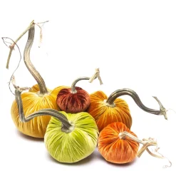 Pumpkin Bundle in Paradise