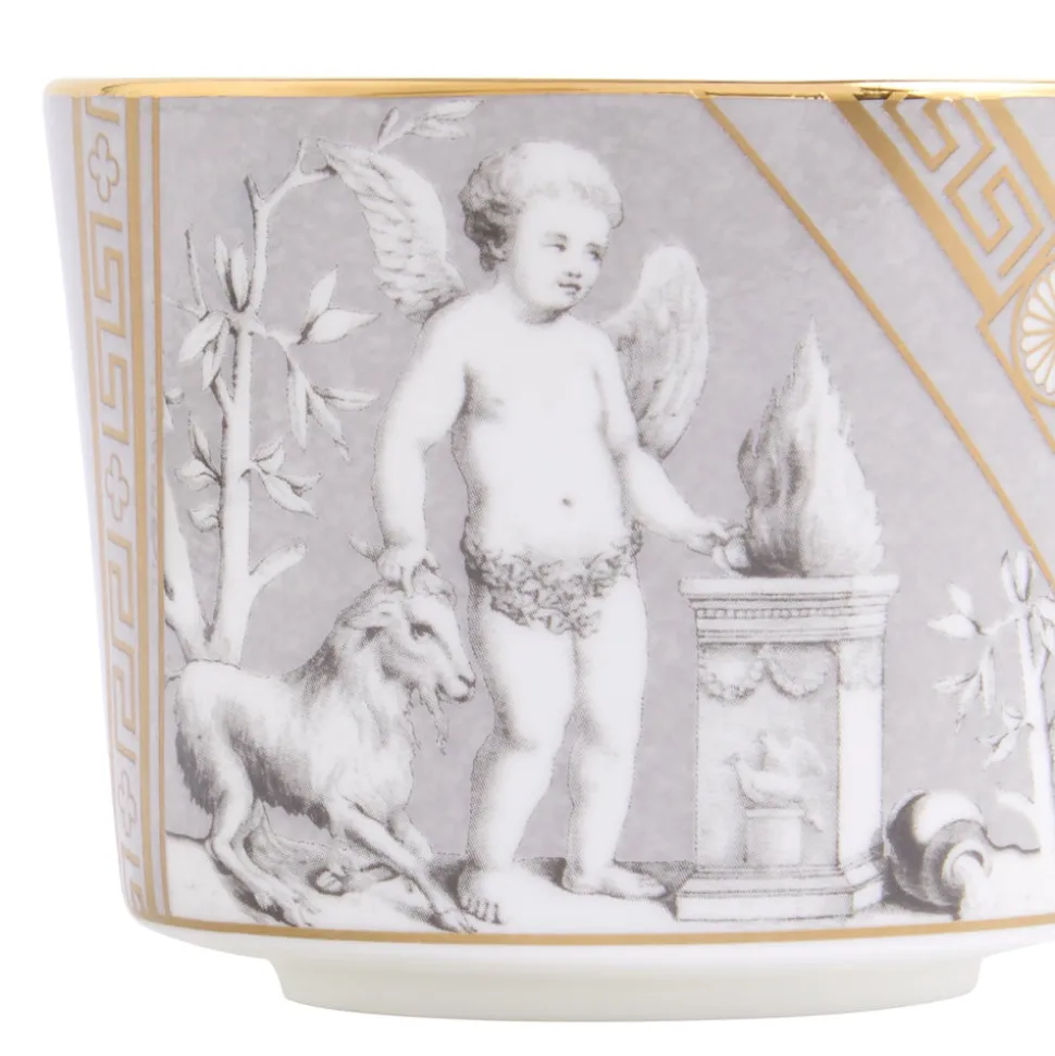 Renaissance Teacup Saucer in Grey, Set of 2