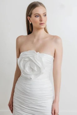 Rose Taffeta Dress