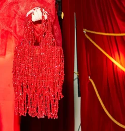 Ruby Firework Bag