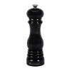 Salt Mill in Black