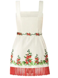 Sarah Bird Mini Dress x Larsen McDowell