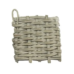 Scallop 36