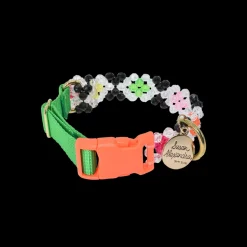 Seltzer Dog Collar