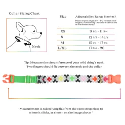 Seltzer Dog Collar