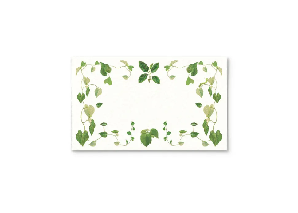 Selva Place Cards