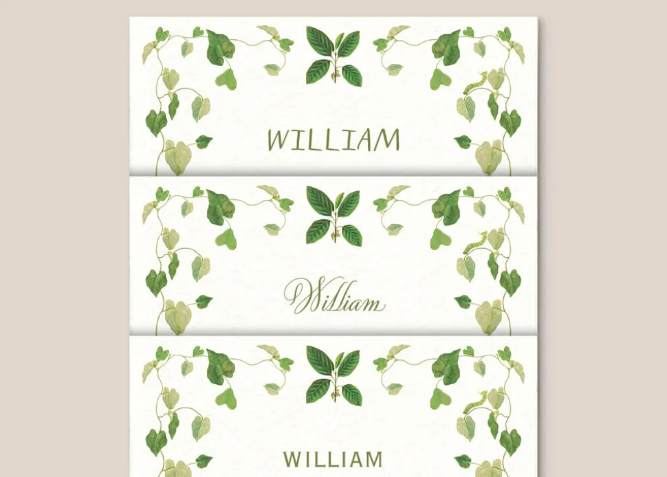Selva Place Cards