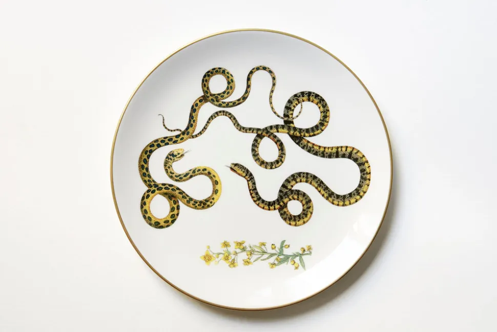 Serpentine Dinner Plate, Set of 6