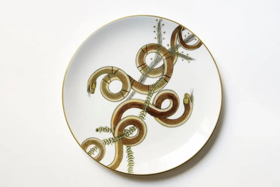 Serpentine Dinner Plate, Set of 6