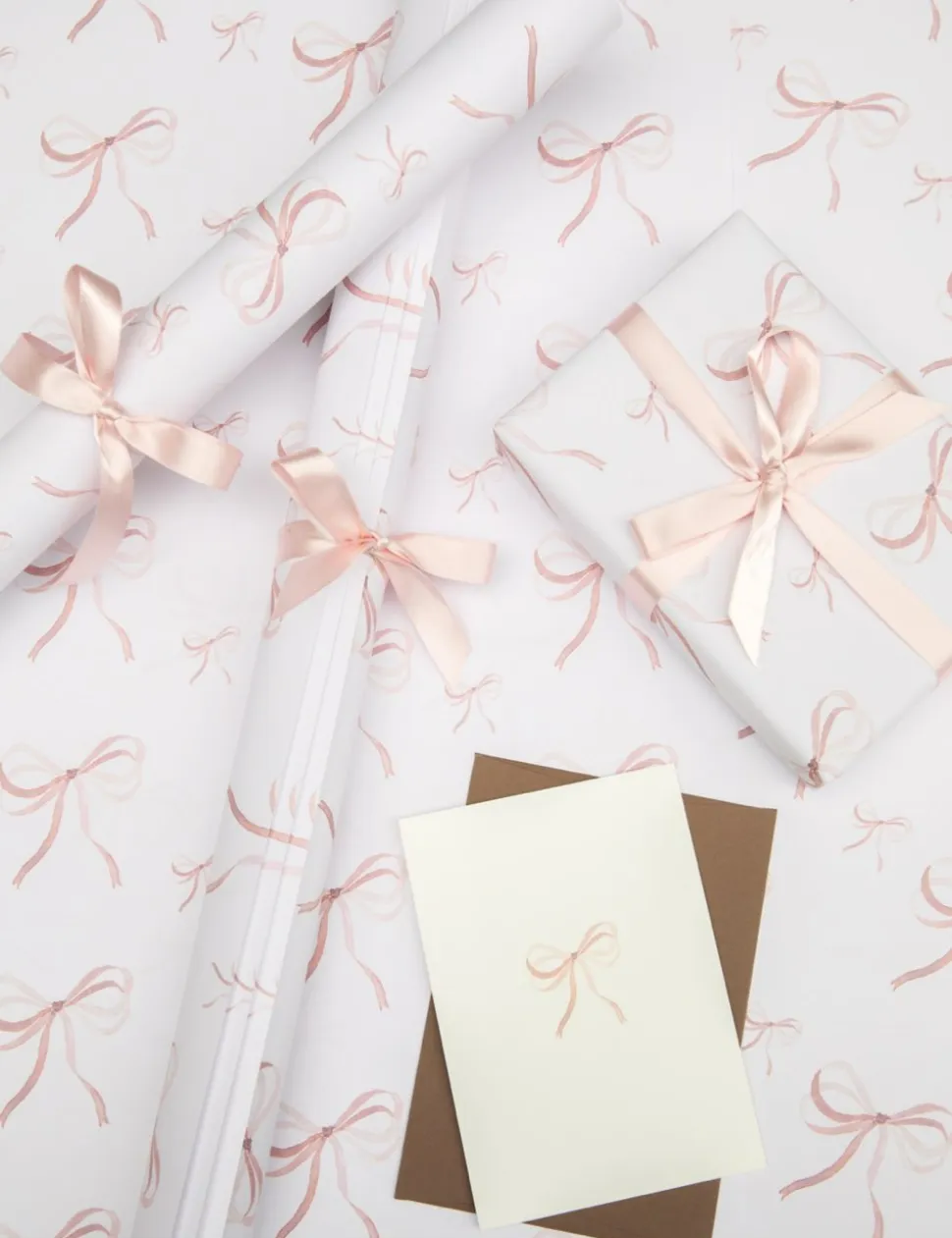 Shell Pink Bow Ribbon Cards, Set of 5