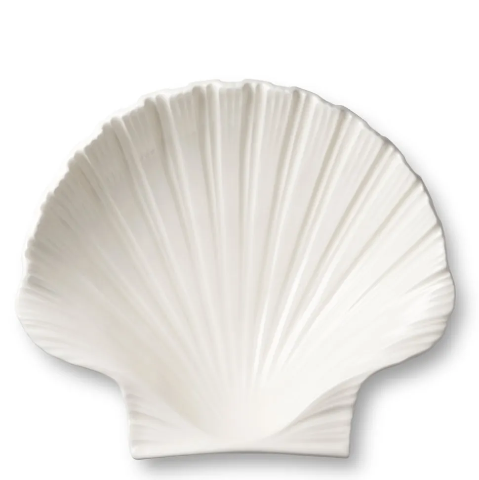 Shell Platter