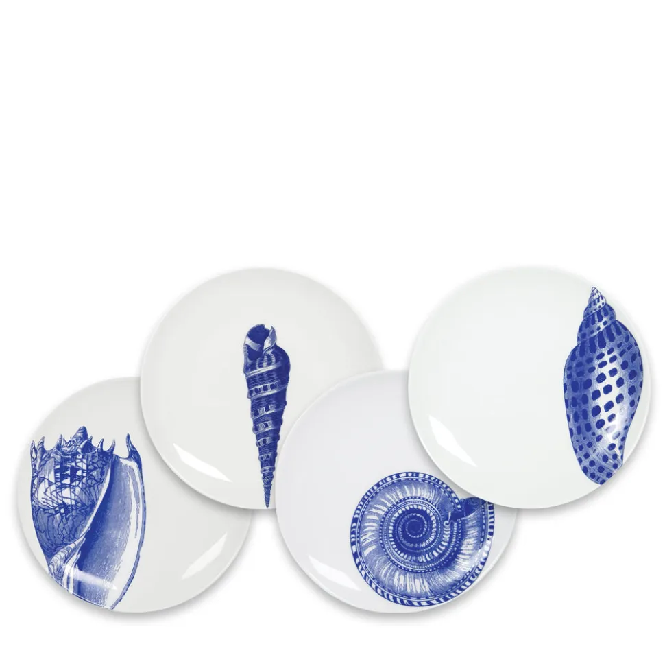 Shells Canapé Plates Boxed, Set of 4