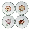 Shells Dinner Plate in Multi, Set of 4