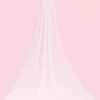 Siena Embellished Wedding Veil