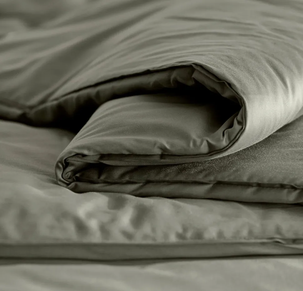Signature Comforter Set in Juniper