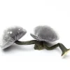Small Grey Mushroom
