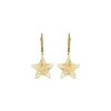 Small Star Earrings