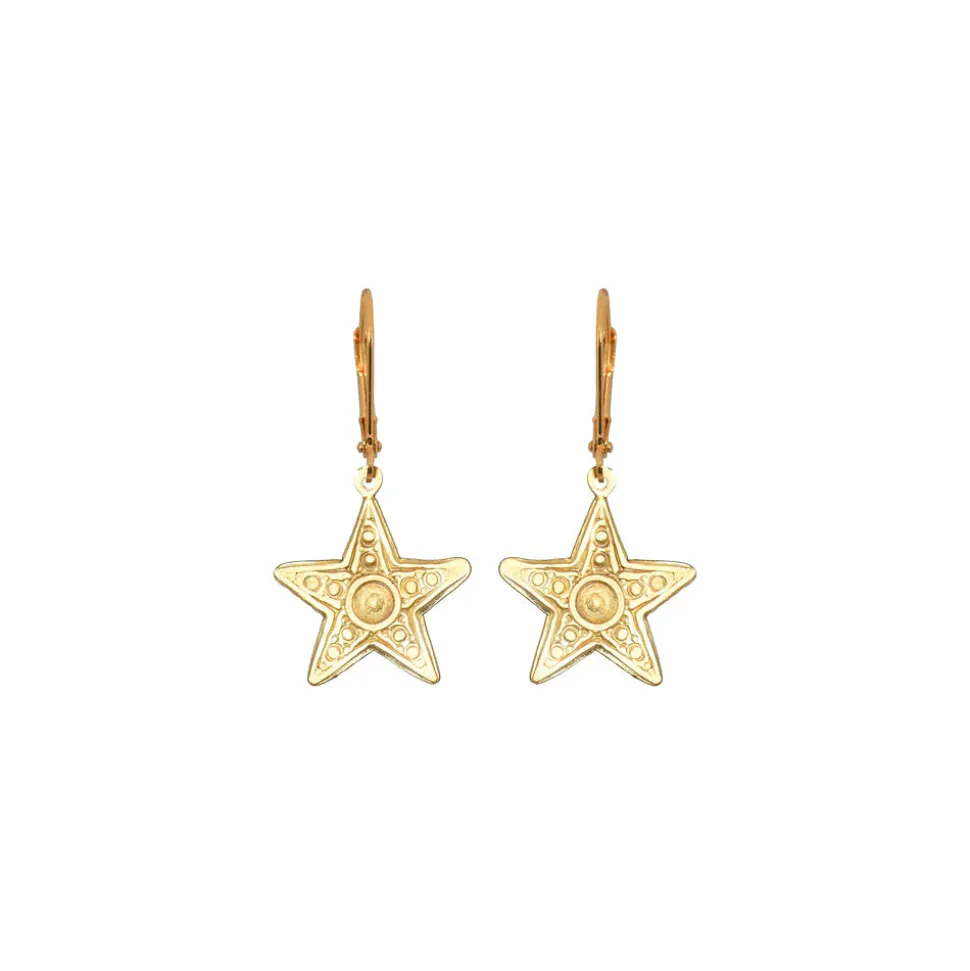 Small Star Earrings
