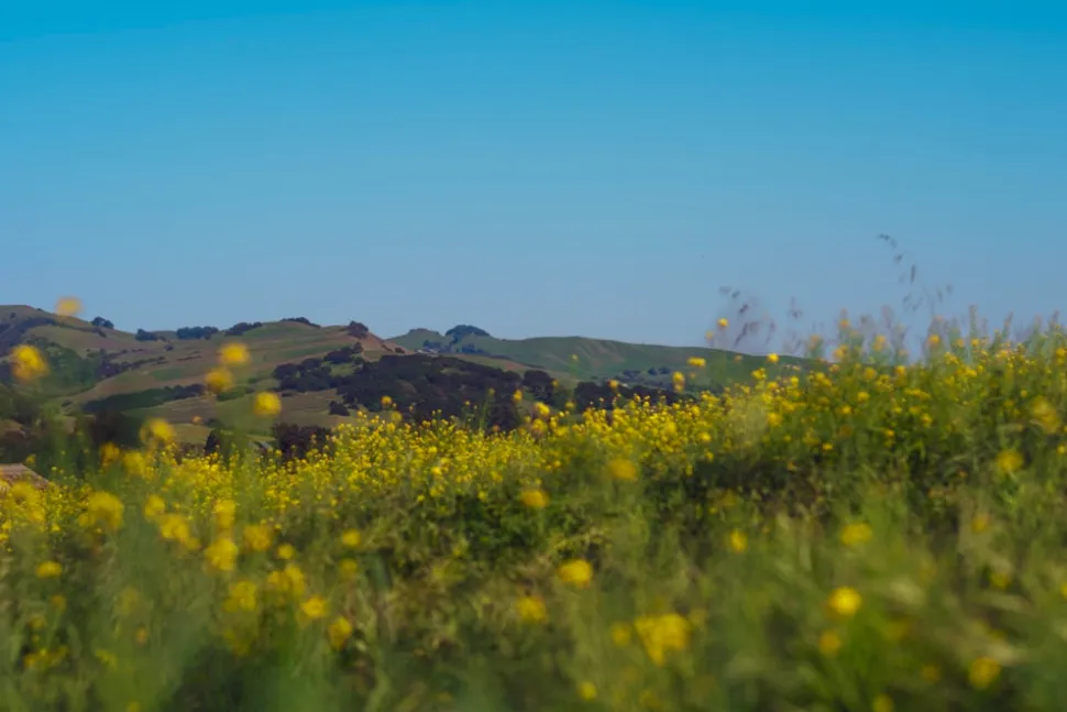 Stanly Ranch Napa, Luxury 5-Night Stay