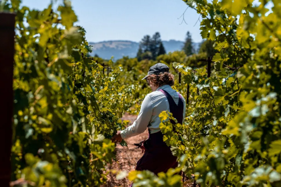 Stanly Ranch Napa, Luxury 5-Night Stay