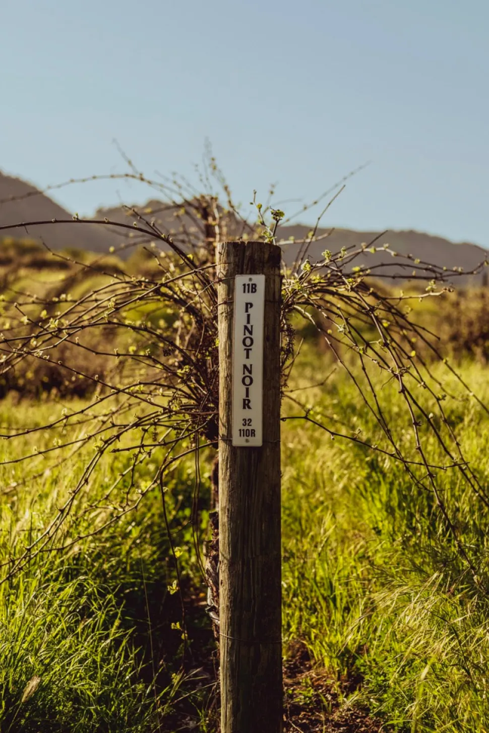 Stanly Ranch Napa, Luxury 5-Night Stay