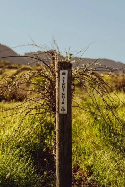 Stanly Ranch Napa, 2-Night Stay