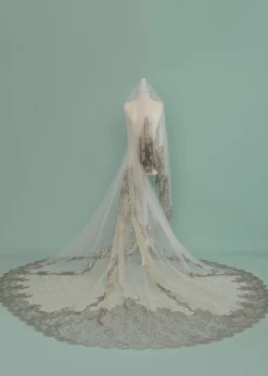 Stefania Veil