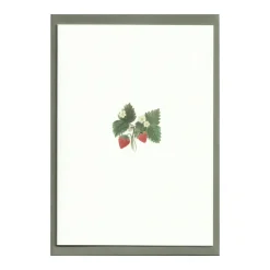 Strawberry Cards, Set of 5