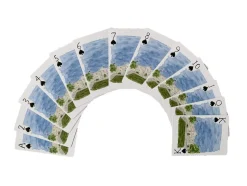 Texas Playing Cards