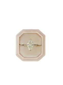 The Antonia Bevel Single