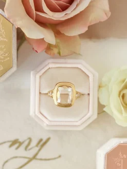 The Antonia Bevel Single