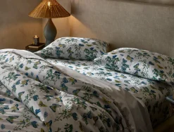 The Baudin Butterfly Collection