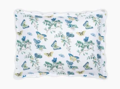 The Baudin Butterfly Collection