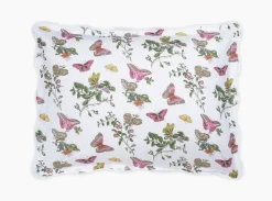 The Baudin Butterfly Collection
