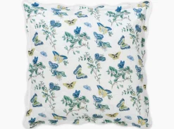 The Baudin Butterfly Collection