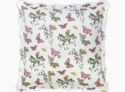 The Baudin Butterfly Collection