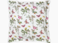 The Baudin Butterfly Collection