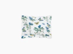 The Baudin Butterfly Collection