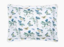 The Baudin Butterfly Collection