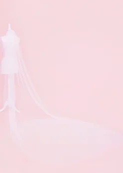 The Classic Silk Tulle Wedding Veil